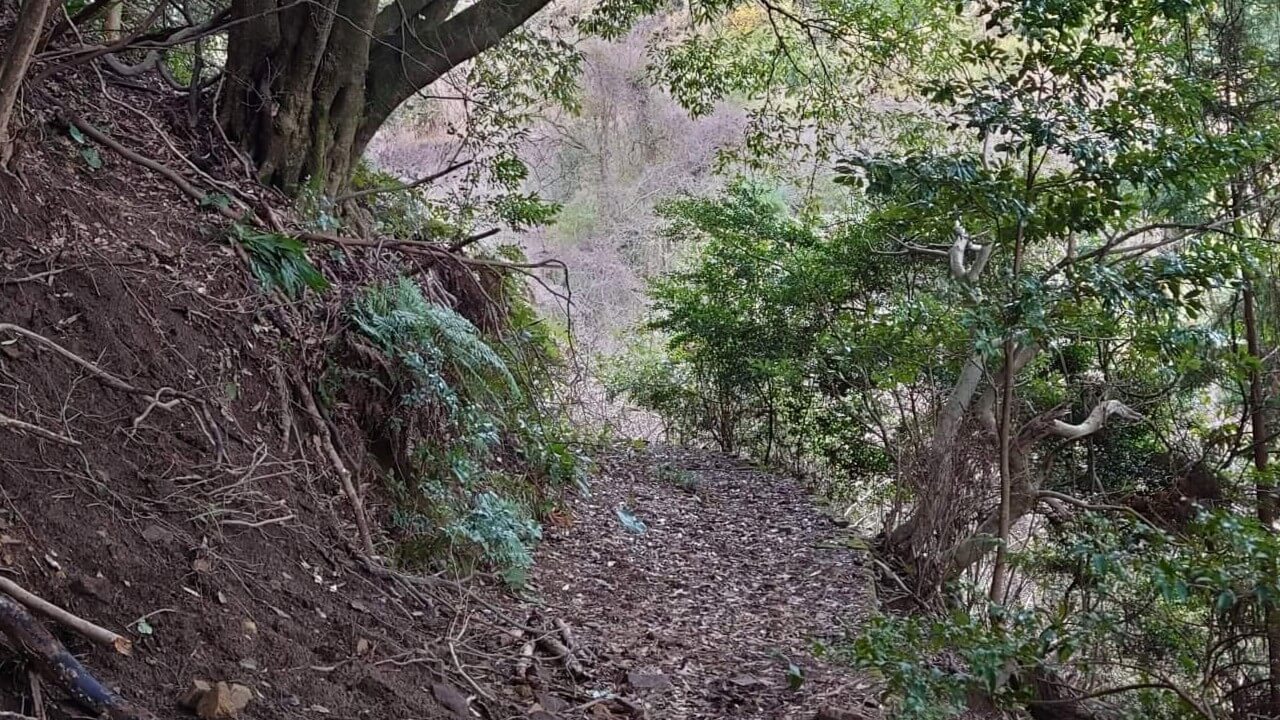 狩場
