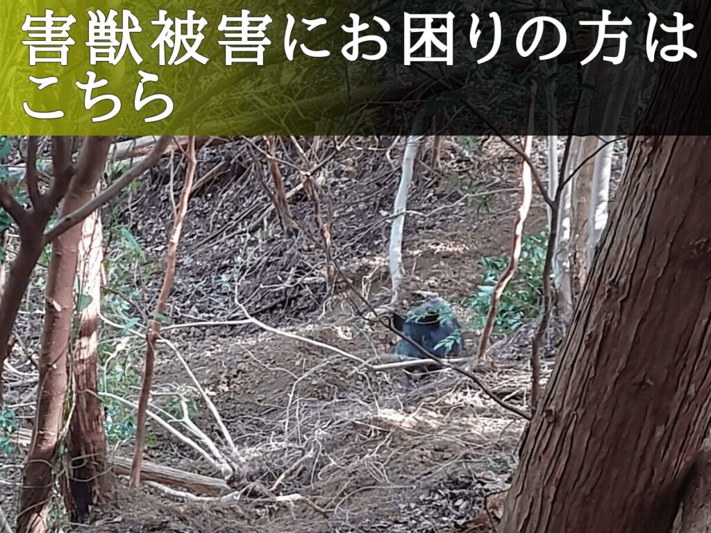 害獣駆除
