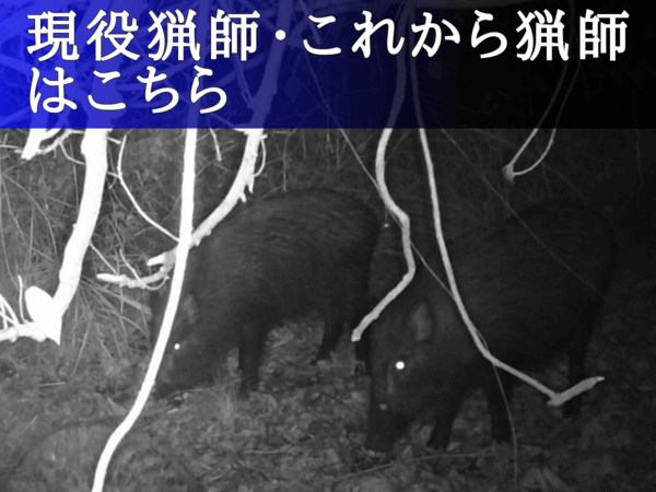 佐世保狩猟団体
