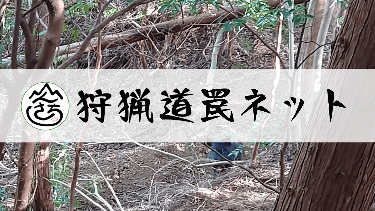 罠ネットワーク 罠シェアリング